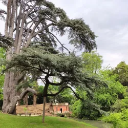 Parco di Villa Concina - Mogliano