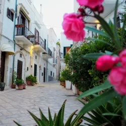 Grotta Palazzese - Monopoli