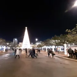 Piazza Vittorio Emanuele II - Monopoli