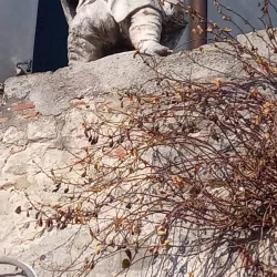 Villa Nani Mocenigo - Monselice