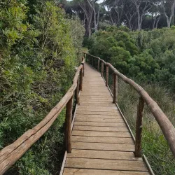 La Feniglia Beach - Monte Argentario