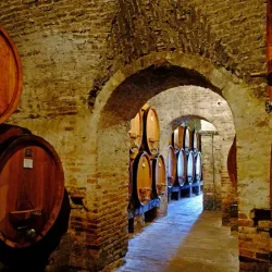 Cantina Contucci - Montepulciano