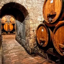 Cantina Contucci - Montepulciano