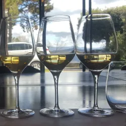 Cantina Neri - Montepulciano