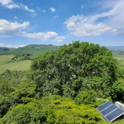 Cantina Neri - Montepulciano