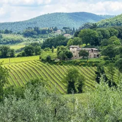 Piazza Grande - Montepulciano