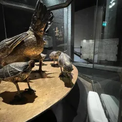 Museo e Tesoro del Duomo di Monza - Monza