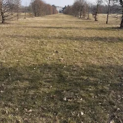 Villa Mirabello - Monza