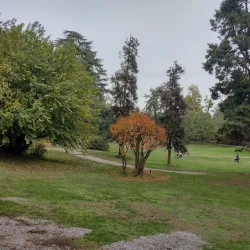 Villa Reale Gardens - Monza