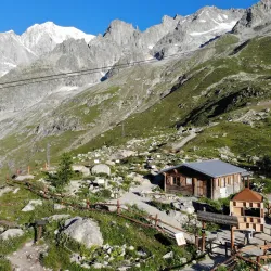 Alpine Botanical Garden Saussurea - Morgex