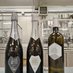 Blanc de Morgex et de La Salle Vineyards - Morgex