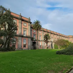 Capodimonte Museum and Park - Naples