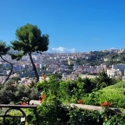 Capodimonte Museum and Park - Naples