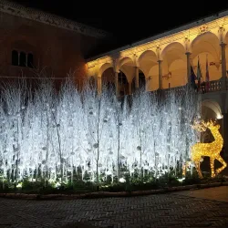 Broletto Palace - Novara