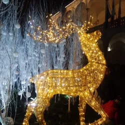 Broletto Palace - Novara