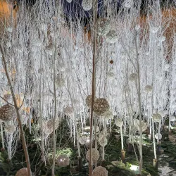 Broletto Palace - Novara