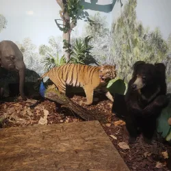 Museo di Storia Naturale Faraggiana Ferrandi - Novara