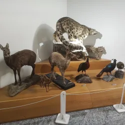 Museo di Storia Naturale Faraggiana Ferrandi - Novara