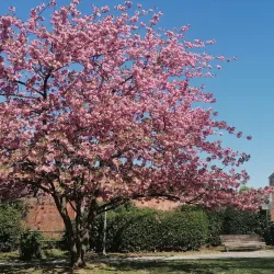 Parco dei Bambini - Novara