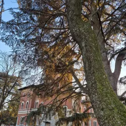 Villa Ottolini-Tosi - Novara