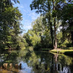 Parco Naturale Regionale del Fiume Sile - Noventa di Piave