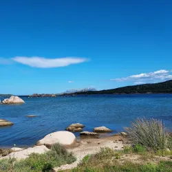 Olbia Marina - Olbia