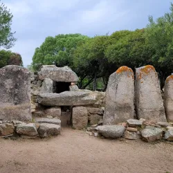 Pedres Archaeological Site - Olbia