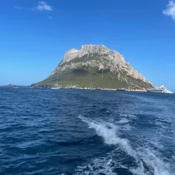 Tavolara Island - Olbia