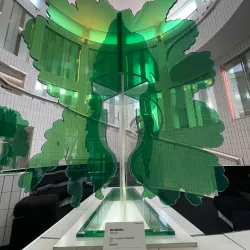 Casa Museo Remo Brindisi - Omegna