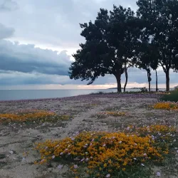Marina di Torre Grande - Oristano