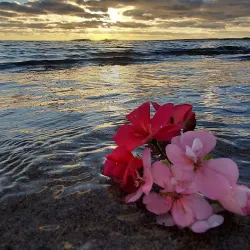 Marina di Torre Grande - Oristano