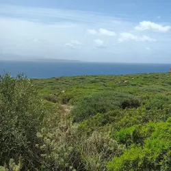 Sinis Peninsula and Marine Protected Area - Oristano