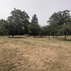 Etruscan Necropolis of Crocifisso del Tufo - Orvieto