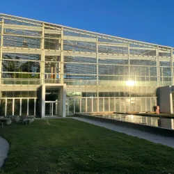 Botanical Garden of Padua (Orto Botanico di Padova) - Padova