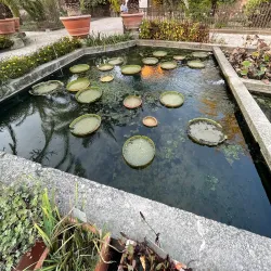 Botanical Garden of Padua (Orto Botanico di Padova) - Padova