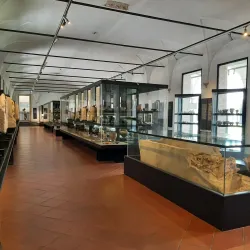 Museo Civico agli Eremitani - Padova