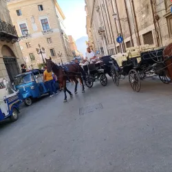 Piazza Pretoria - Palermo
