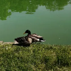 Parco Ducale - Parma