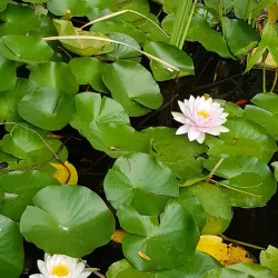 Parco Ducale - Parma