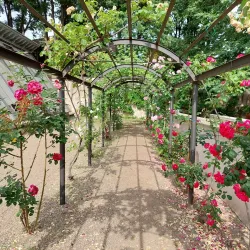 Pavia Botanical Garden (Orto Botanico di Pavia) - Pavia