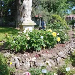 Pavia Botanical Garden (Orto Botanico di Pavia) - Pavia