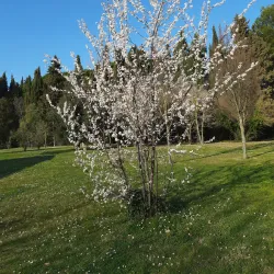 Parco Miralfiore - Pesaro