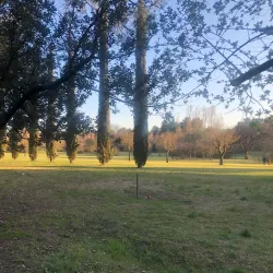 Parco Miralfiore - Pesaro