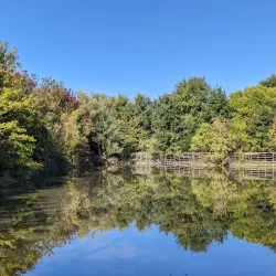 Parco Miralfiore - Pesaro