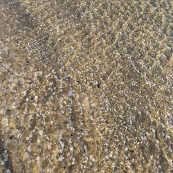 Pesaro Beach - Pesaro