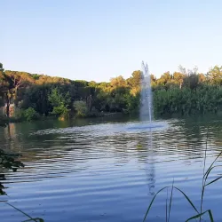 Riserva Naturale Pineta Dannunziana - Pescara