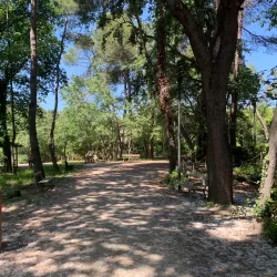 Riserva Naturale Pineta Dannunziana - Pescara