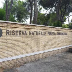 Riserva Naturale Pineta Dannunziana - Pescara
