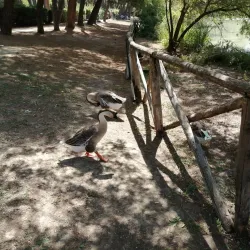 Riserva Naturale Pineta Dannunziana - Pescara