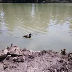 Riserva Naturale Pineta Dannunziana - Pescara